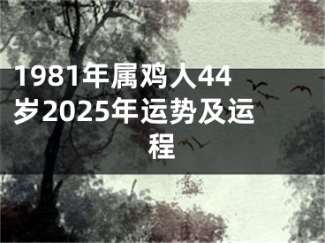 1981年属鸡人44岁2025年运势及运程