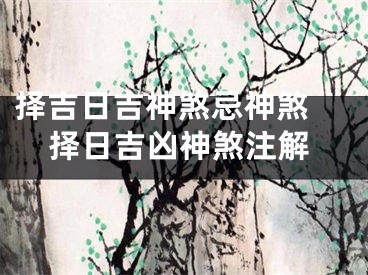 择吉日吉神煞忌神煞 择日吉凶神煞注解