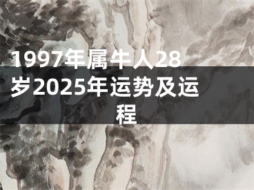 1997年属牛人28岁2025年运势及运程