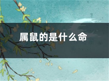 属鼠的是什么命