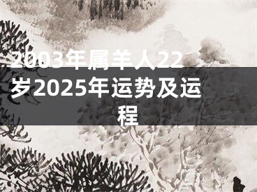 2003年属羊人22岁2025年运势及运程