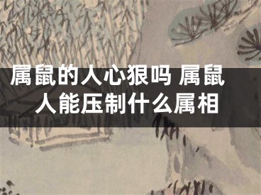 属鼠的人心狠吗 属鼠人能压制什么属相