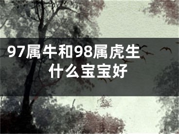 97属牛和98属虎生什么宝宝好