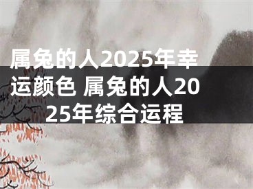 属兔的人2025年幸运颜色 属兔的人2025年综合运程