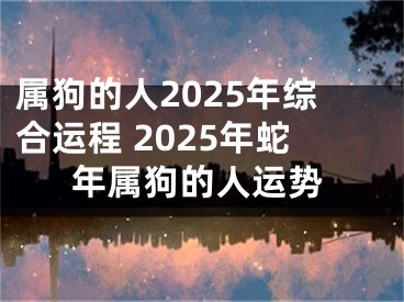 属狗的人2025年综合运程 2025年蛇年属狗的人运势