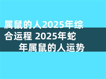 属鼠的人2025年综合运程 2025年蛇年属鼠的人运势