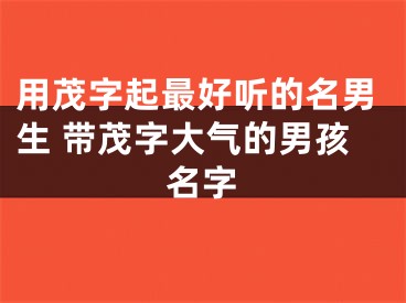 用茂字起最好听的名男生 带茂字大气的男孩名字