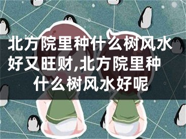 北方院里种什么树风水好又旺财,北方院里种什么树风水好呢