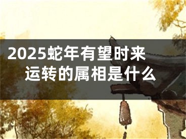 2025蛇年有望时来运转的属相是什么