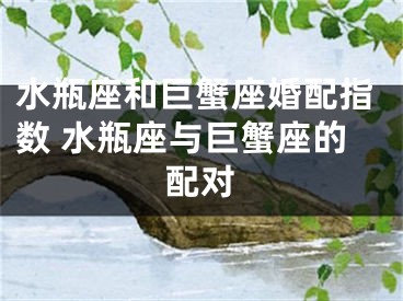 水瓶座和巨蟹座婚配指数 水瓶座与巨蟹座的配对