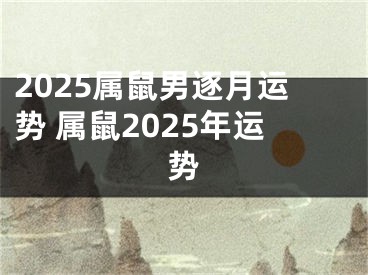 2025属鼠男逐月运势 属鼠2025年运势