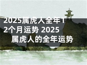 2025属虎人全年12个月运势 2025属虎人的全年运势