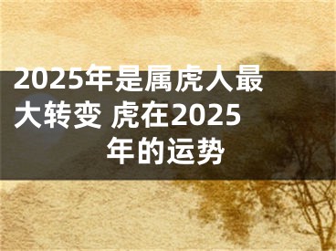 2025年是属虎人最大转变 虎在2025年的运势