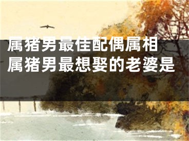 属猪男最佳配偶属相 属猪男最想娶的老婆是 