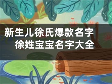 新生儿徐氏爆款名字 徐姓宝宝名字大全