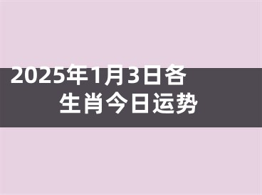 2025年1月3日各生肖今日运势