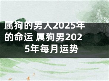 属狗的男人2025年的命运 属狗男2025年每月运势