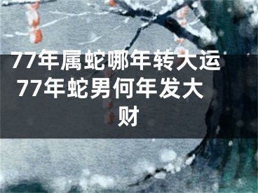 77年属蛇哪年转大运 77年蛇男何年发大财