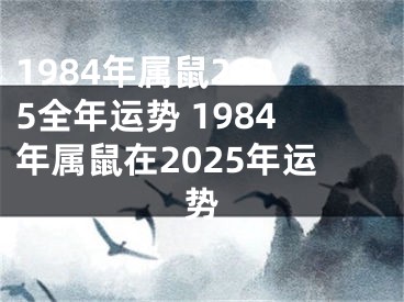 1984年属鼠2025全年运势 1984年属鼠在2025年运势