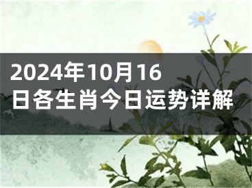 2024年10月16日各生肖今日运势详解