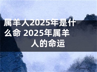 属羊人2025年是什么命 2025年属羊人的命运