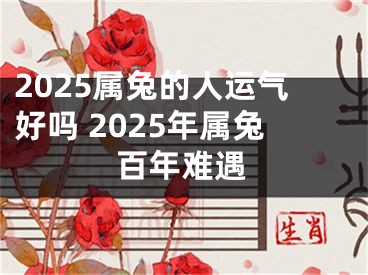 2025属兔的人运气好吗 2025年属兔百年难遇