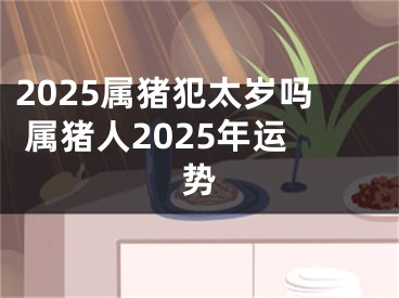 2025属猪犯太岁吗 属猪人2025年运势