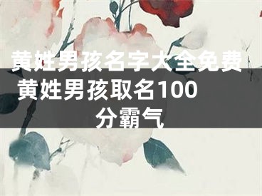 黄姓男孩名字大全免费 黄姓男孩取名100分霸气