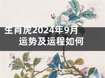 生肖虎2024年9月运势及运程如何