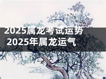 2025属龙考试运势 2025年属龙运气