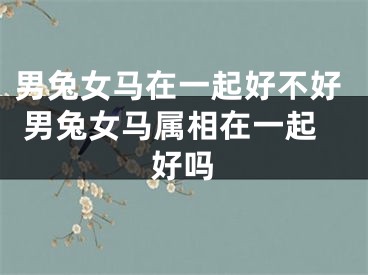 男兔女马在一起好不好 男兔女马属相在一起好吗