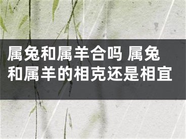 属兔和属羊合吗 属兔和属羊的相克还是相宜