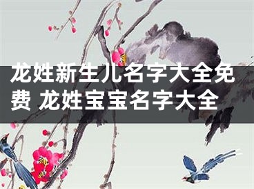 龙姓新生儿名字大全免费 龙姓宝宝名字大全