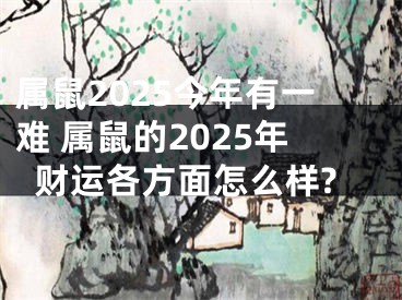 属鼠2025今年有一难 属鼠的2025年财运各方面怎么样?