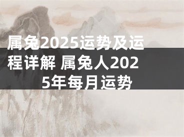 属兔2025运势及运程详解 属兔人2025年每月运势
