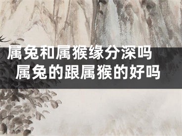 属兔和属猴缘分深吗 属兔的跟属猴的好吗