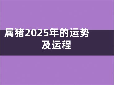 属猪2025年的运势及运程