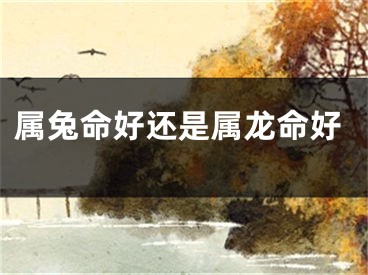 属兔命好还是属龙命好