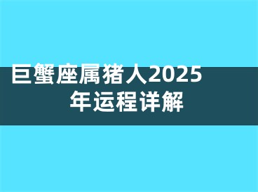 巨蟹座属猪人2025年运程详解