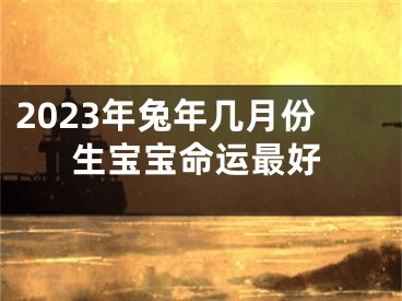 2023年兔年几月份生宝宝命运最好