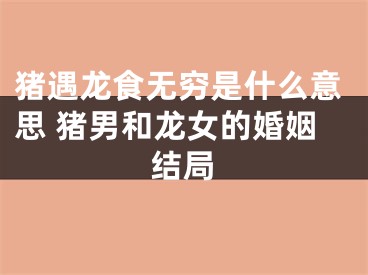 猪遇龙食无穷是什么意思 猪男和龙女的婚姻结局