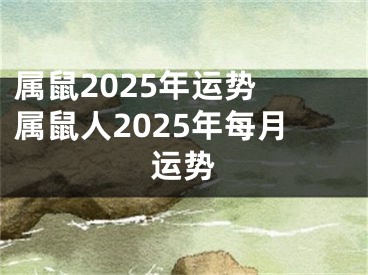 属鼠2025年运势 属鼠人2025年每月运势