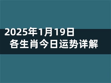 2025年1月19日各生肖今日运势详解
