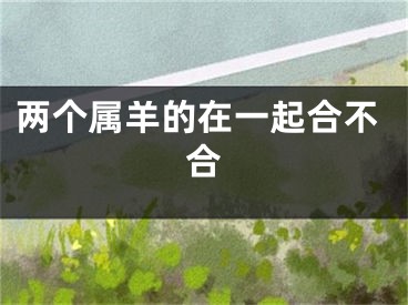 两个属羊的在一起合不合