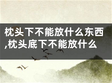 枕头下不能放什么东西,枕头底下不能放什么