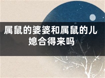 属鼠的婆婆和属鼠的儿媳合得来吗
