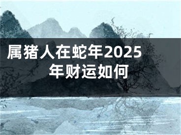 属猪人在蛇年2025年财运如何