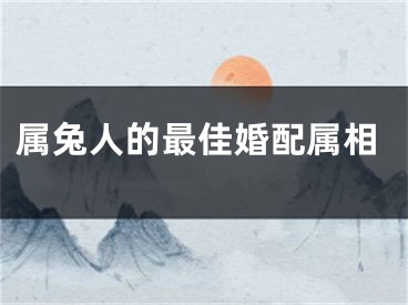 属兔人的最佳婚配属相