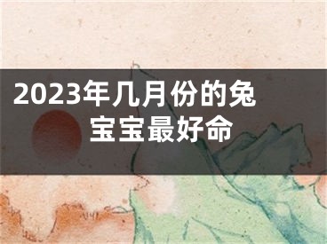 2023年几月份的兔宝宝最好命