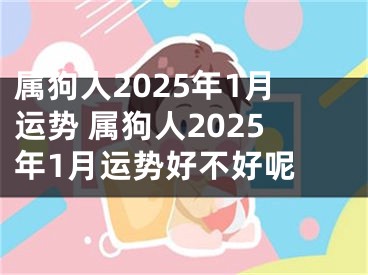 属狗人2025年1月运势 属狗人2025年1月运势好不好呢 
